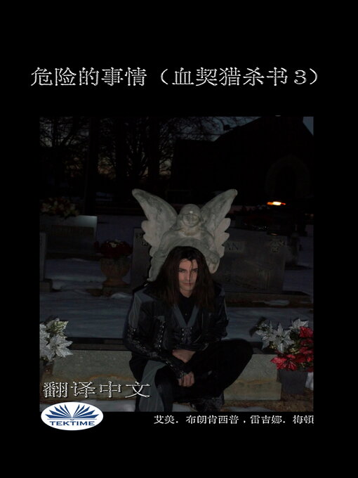 Title details for 危险的事情 by Amy Blankenship - Wait list